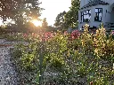 Article de blog '5 jardins d’architectes paysagistes à visiter dans le Brabant Wallon' cover image.webp